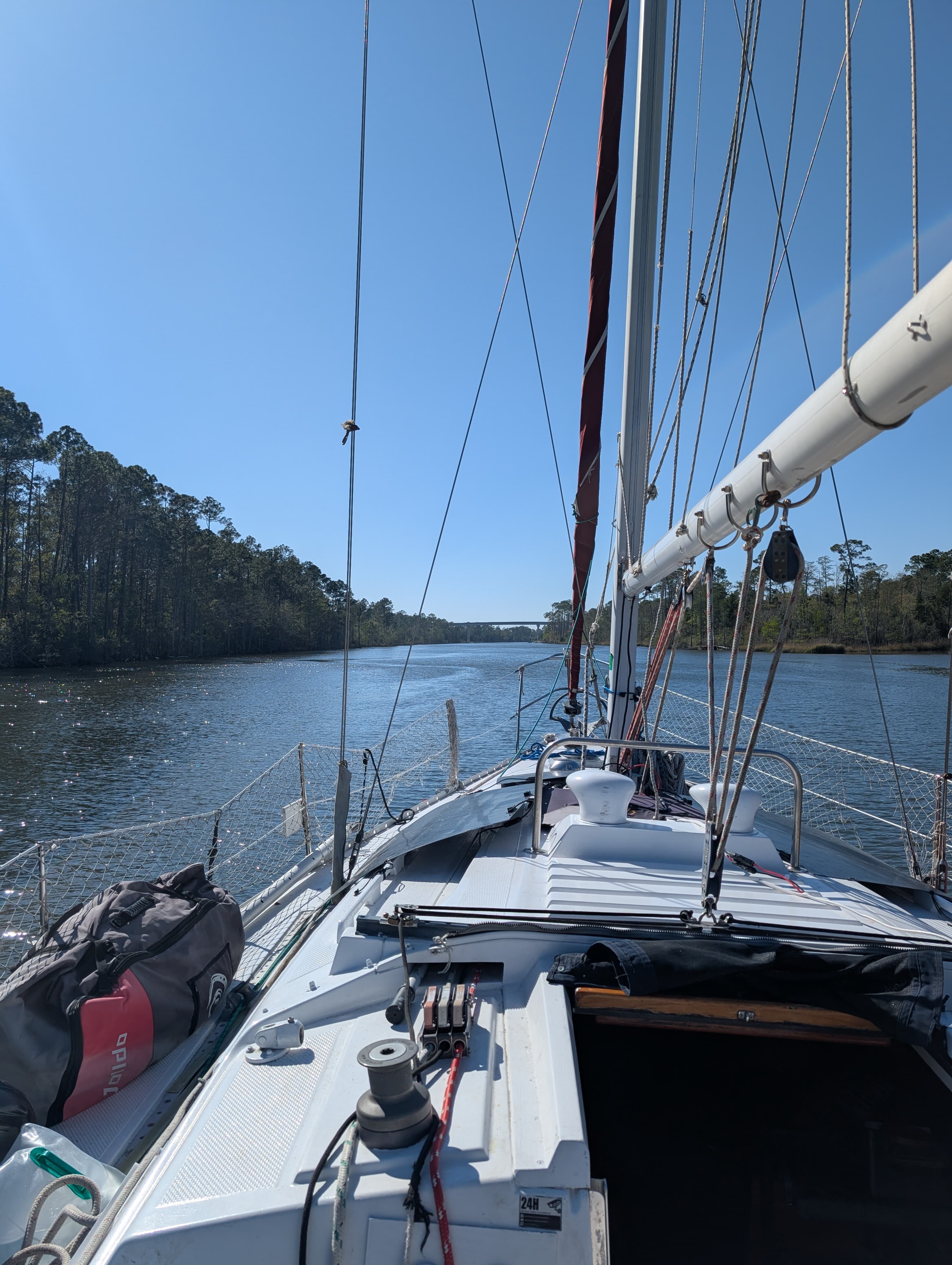 Sailboat navigating a calm river lined with pine trees under a clear blue sky.